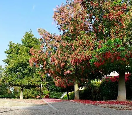 Bed & Breakfast Saperdabianca
